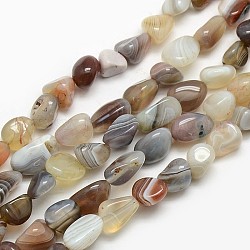 Pépites naturelles agate de botswana perles brins, 8~12x8~18mm, Trou: 1mm, Environ 44 pcs/chapelet, 15.5 pouce