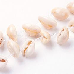 Brins de perles de coquillage cauri naturel, bisque, 17~19x10~14x8~9mm, Trou: 1mm, Environ 26 pcs/chapelet, 15.5 pouce (39.5 cm)