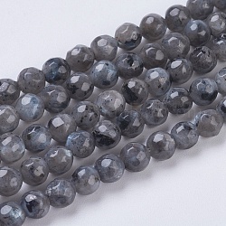 Brins de perles de larvikite naturelles, facette, ronde, grises , 4mm, Trou: 1mm, Environ 90 pcs/chapelet, 15.35 pouce