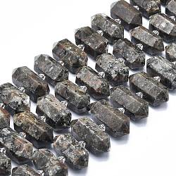 Натуральный флуоресцентный сиенитовый камень (светящийся в ультрафиолетовом свете) бусины нити, граненые, двойное окончание остроконечное / пуля, 20~31x12~14x10~13 мм, отверстие : 1.8 мм, около 23~24 шт / нитка, 15.55 дюйм (39.5 см)