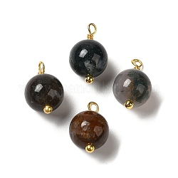 Ciondoli rotondi in agata indiana naturale con anelli in vero ottone placcato oro 18k, 13.5~14x7.5~8.5mm, Foro: 1.5~1.6 mm
