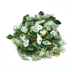 Бусины из ракушек, окрашенные, чипсы наггетс, зелёные, 6.2~15.2x4.3~7.3x0.4~3.8 мм, отверстие : 1 мм