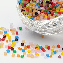8/0 Glass Seed Beads, Frosted Colors, Round, Round Hole, Mixed Color, 8/0, 3mm, Hole: 1mm, about 1111pcs/50g, 50g/bag, 18bags/2pounds