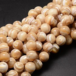 Chapelets de perles en coquillage naturel, ronde, saumon clair, 12mm, Trou: 1mm, Environ 33 pcs/chapelet, 15.75 pouce