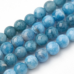Natural Apatite Beads Strands, Round, 8x7.5mm, Hole: 1mm, about 46~49pcs/strand, 15.5 inch