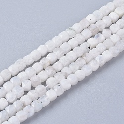 Brins de perles de pierre de lune arc-en-ciel naturel, facette, cube, 4x4x4mm, Trou: 0.8mm, Environ 97 pcs/chapelet, 15.55 pouce (39.5 cm)