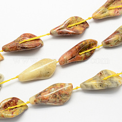 Leaf Shaped Natural Crazy Agate Stone Beads Strands, Pale Goldenrod, 27~30x12~15x9mm, Hole: 1mm, about 12pcs/strand, 15.7inch