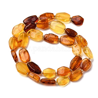 Нити бусин из натурального янтаря градиентного цвета G-F803-E01-01-1