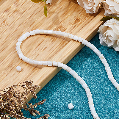 2 нить бусин из натуральных пресноводных ракушек SHEL-HS0001-06-1