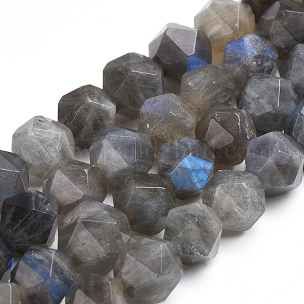Natural Labradorite Beads Strands G-S267-01-1