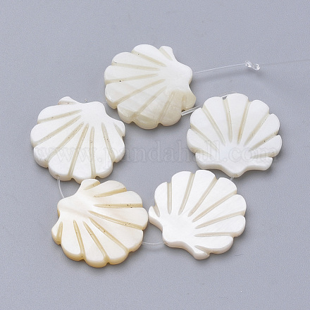 Shell perle naturali di acqua dolce SHEL-T007-03-1