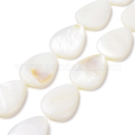 Natural Freshwater Shell Beads Strands X-SHEL-H001-12-1