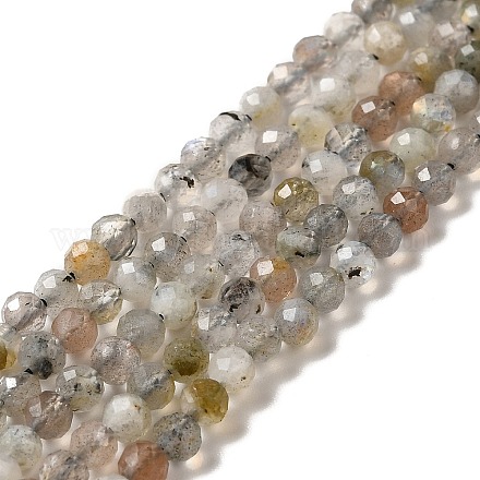 Chapelets de perles en labradorite naturelle  X-G-I341-11-1