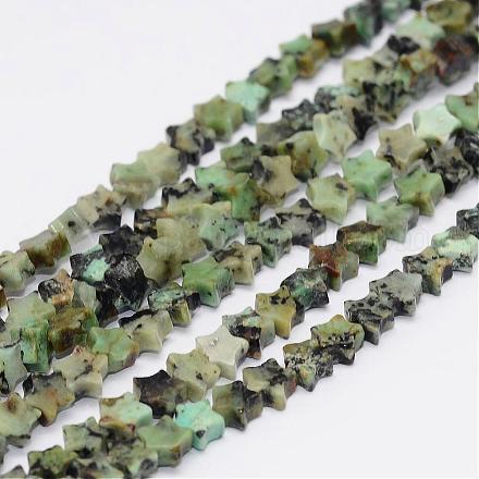 Natural African Turquoise Bead Strands G-K153-A09-1