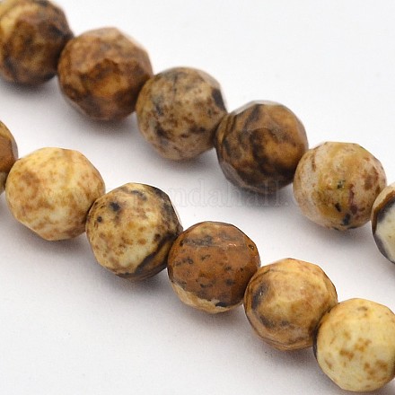 Faceted Round Natural Picture Jasper Beads Strands G-E302-089-4mm-1