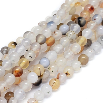 Brins de perles d'agate dendritique naturelle G-D0005-18-6mm-1