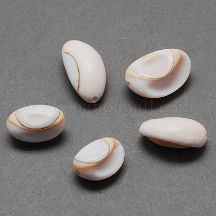 Perles de coquillage en spirale naturelle SSHEL-Q294-4-1