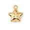 304 Stainless Steel Charms, Nickel Free, Ion Plating(IP), Star, 13.5x11x4.5mm, Hole: 1.6mm