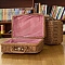 Plastic Imitation Rattan Storage Box, with Handle, Rectangle, Peru, 22x11x17cm