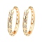 Brass Micro Pave Cubic Zirconia Hoop Earring, Horse Eye, Light Gold, 35.5x4.5mm