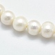 Natural Cultured Freshwater Pearl Beads Strands PEAR-F007-22-3