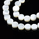 Chapelets de perles de coquille de trochid / trochus coquille SSHEL-S266-002-3