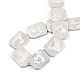 Placage de brins de perles de coquille d'eau douce naturelles SHEL-N026-223-4