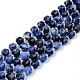Natural Sodalite Beads Strands G-R482-21B-8MM-1