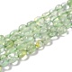 Chapelets de perles en préhnite naturelle G-F706-02A-1