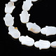 Eau douce naturelle de coquillage perles brins SHEL-S278-02-A01-3