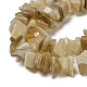 Jaune naturel coquille brins de perles SSHEL-H072-05-3