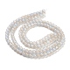 Chapelets de perles en verre peint DGLA-R053-01D-2