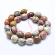 Chapelets de perles en pierre de chrysanthème naturel G-E483-75A-2