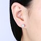 Exquisite 925 Sterling Silver Cubic Zirconia Stud Earrings EJEW-BB20135-2