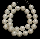 Chapelets de perles de coquille X-SP034-12mm-2