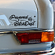 塩ビステッカー車の装飾  フェイスカーステッカー  車の装飾用  長方形  言葉  137x279mm DIY-WH0254-010-3