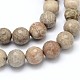 Natural Fossil Coral Round Bead Strands G-O094-08-16mm-2