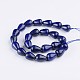 Dyed Drop Natural Lapis Lazuli Bead Strands G-F272-02-2