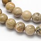 Natural Fossil Coral Round Bead Strands G-N0166-05-4mm-2