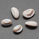 Perles de coquillage en spirale naturelle SSHEL-Q294-4-1