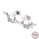 Cubic Zirconia Leafy Branch with Natural Pearl Dangle Stud Earrings EJEW-F318-17P-1