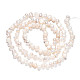 Natural Cultured Freshwater Pearl Beads Strands PEAR-N014-03B-4