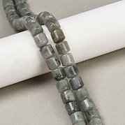 Природные лабрадорита бисер нитей G-G275-D10-10x10mm