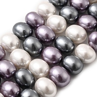 Оболочки жемчужина бисер нитей&nbsp;BSHE-F013-01K