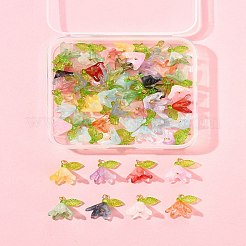 50шт прозрачные акриловые подвески PALLOY-FS00043-02