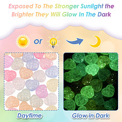 Светящиеся прозрачные акриловые бусины&nbsp;LACR-TA0001-07E