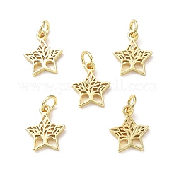 Стойки обшивки латунные подвески&nbsp;KK-F849-05G