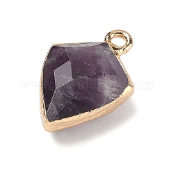Natürlichen Amethyst Edelsteinanhänger&nbsp;G-K422-01G-11