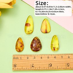 5 pz ciondoli in ambra naturale&nbsp;G-SZ0002-38