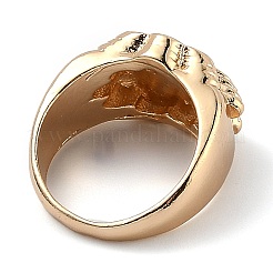 Сплав RJEW-H539-04A-LG